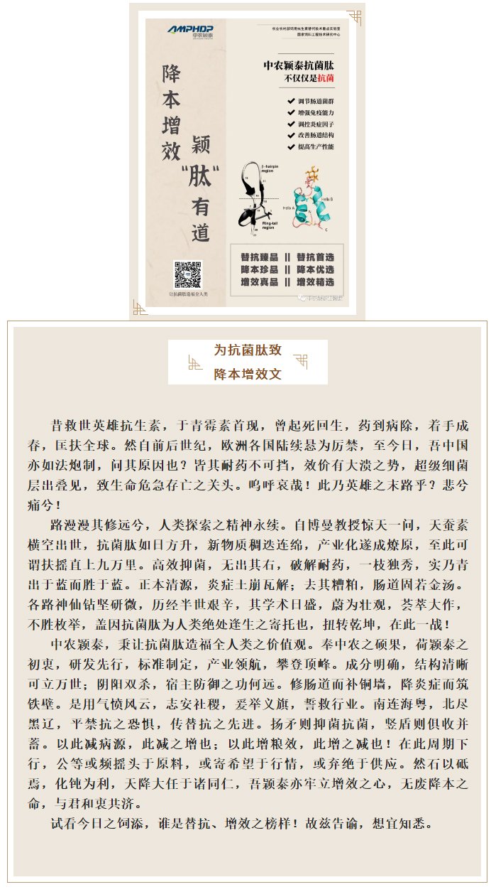 降本增效，穎“肽”有道——抗菌肽降低飼料營養水平應用方案_01